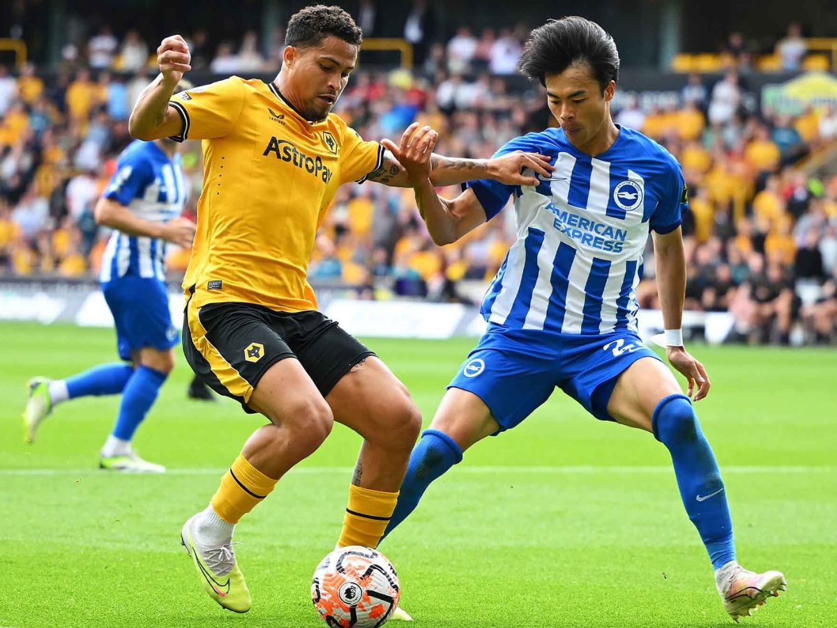 Nhận định Wolves vs Brighton: Kịch bản khó lường